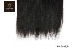 China 10inch 8A Straight Hair Bundles With Closure supplier