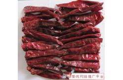 China Natural Red Yidu Chili With Stem Jinta Chilli Pepper seasoning food supplier
