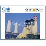 Vertical Customized HRSG Heat Recovery Steam Generator In Power Station for sale