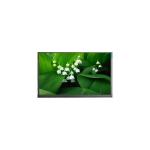 Hot Sell 8.0 inch P080LDN-DB4 1200*1920 290 cd/m2 LCD Monitor for sale