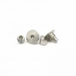 Non Standard Hexagonal Eccentric Nail 304 Stainless Steel Solid Flat Round Head Step Rivet Fastener Connector for sale