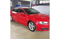 China Waterproof Colored Paint Protection Film Scratch Resistant Practical supplier