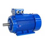 High Power Low Maintenance And Noise Permanent Magnet AC Motor for sale