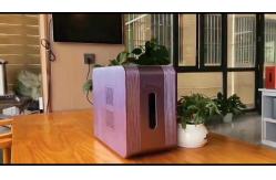 China Compact Exquisite Hydrogen Inhalator WEIZI Purple with Voice Prompt supplier