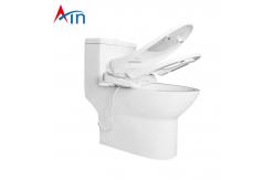 China Sanitary ware instant heated electric bidet smart toilet seat cover supplier