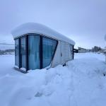 Sustainable Space Capsule House Ultimate Solution For Whole House Customization for sale