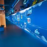 Immersive Exploration Classrooms Augmented Reality Interactive Wall Projection for sale