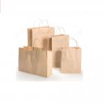 Custom Printed Paper Shopping Bags With Logo Handles Silver Foil Hot Stamping for sale