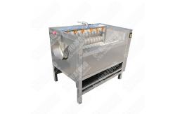 China Design Vegetable Cleaning Solution 2023 New Style supplier