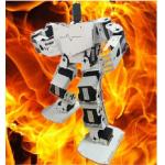Robotics equipment Large torque digital servo Support 17 DOF Humanoid robot