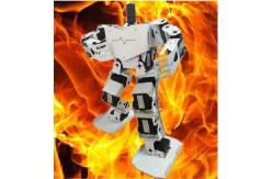 China Robotics equipment Large torque digital servo Support 17 DOF Humanoid robot supplier