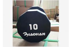 China 10LBS Gym Fitness Dumbbell PU Round Hex Head Dumbbells For Home Exercise supplier