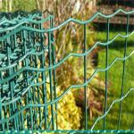 Europe Standard Holland Farm Wire Mesh Fence Pvc Coated Welded Wire Fence 50x50mm for sale