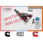 Construction Machinery Parts Fuel Injector Diesel Fuel Injector 3411754 3411755 492825 4928517 For CUMMINS Diesel Engine for sale