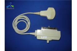 China Abdominal Convex Array Ultrasound Scanner Probe 60mm supplier