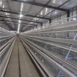 A Frame Broiler Chicken Cage System Hot Dipped Wire Mesh for sale