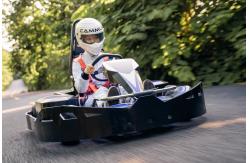 China ISO9001 36 Volt Amusement Park Go Kart With 5 Inches Hub supplier
