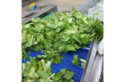 China 1.5 Tons / Hour Fruit And Vegetable Processing Line Root Brush Washing supplier