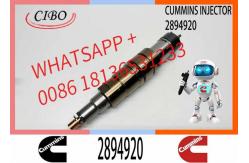 China Diesel Common Rail Fuel Injector 2086663 1933613 1881565 2894920. Compatible supplier