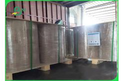 China 170g 190g 210g Watertight PE Coating Cup Paper 550mm Roll FDA Approved supplier