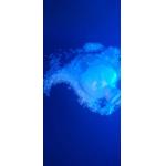 Primid 95 / 5 Polyester Resin Low Temp Curing Good Mechanical / Weather Properties