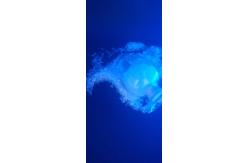 China Primid 95 / 5 Polyester Resin Low Temp Curing Good Mechanical / Weather Properties supplier