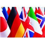 sublimation little flag for sale