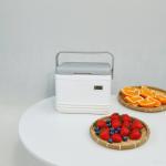 China Phefon FS-5L Ice Cooler Box with Ice Packs for Camping and Picnics factory