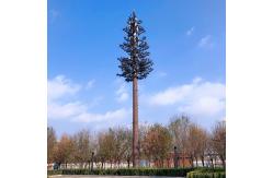 China 32m/S 40m Monopole Steel Tower For Communication supplier