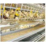 Yellow Poultry Auto Drinker System Broiler Nipple Drinker With Cup