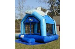 China Inflatable Bouncer / INFLATABLE jump / inflatable shark bouncer supplier