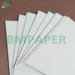 PE Coated Moisture Resistant Protection Disposable Cup Paper Rolls