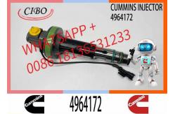 China Fuel Injector Assembly Y431K05417 F00L0J019 4964172 2867147 2882077 For Qsk19 Engine supplier