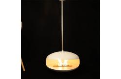 China 1.5L Bio Ethanol Fire Pits Roof Ceiling 26.5kg Suspended Fire Place supplier