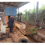 Diameter 1000mm Vertical Band Sawmill Timber Cutting Machine Vertical Bandsaw Mill with CNC Log carriage for sale