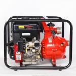 2900rpm Multistage Fire Pump High Pressure Water Pumps For Fire Fighting for sale