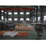 220V 2kw Laundry Detergent Tablet Packing Machine