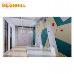 Speed Climbing Wall Hand Grips Organic Resin Climbing Foot Holds For School for sale