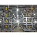 Q235 H Type Automatic Baby Chicks Cage For Layers Pullet Cage Day Old Chicks Cage for sale