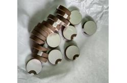China Round Piezo Ceramic Element Sheet Positive and Negative pole in one Side supplier