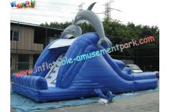 China Dolphin Outdoor Inflatable Water Slides, Swimming Pool Slide With UL Blower supplier