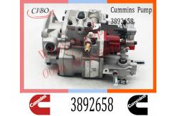 China Cummins M11 ISM11 Engine Parts Injection Fuel Pump 3095502 3895537 3892658 supplier
