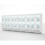 Glass Material Freezer Refrigeration Equipment Vegetable Refrigerator Single-Temperature Design for sale