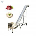 Inclined Belt Chain Conveyor For Conveying Frozen Food Fresh Cherry Burry for sale