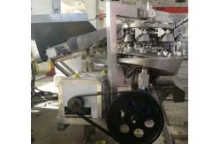China 10TPH Fruit Juice Extraction Machine supplier