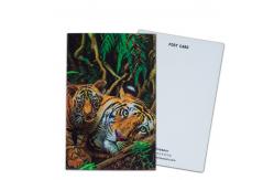 China Participation and Donation Options 3D Card with Lenticular Printing supplier