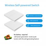 IP44 Waterproof Zigbee Smart Switch 2A 250V Smart Button Homekit