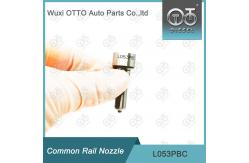 China L053PBC Delphi Nozzle For Common Rail Injectors BEBJ1A00001 / 1660160 / 1742535 supplier
