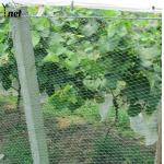 PP Bird Proof Net Agricultural Plastic Garden Netting Green For Vegetable Farms for sale