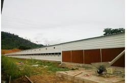 China Q235B Steel Structure Poultry House  Painted Steel Frame Chicken Coop supplier